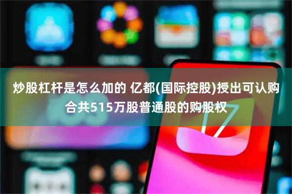 炒股杠杆是怎么加的 亿都(国际控股)授出可认购合共515万股普通股的购股权