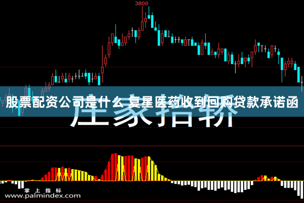 股票配资公司是什么 复星医药收到回购贷款承诺函