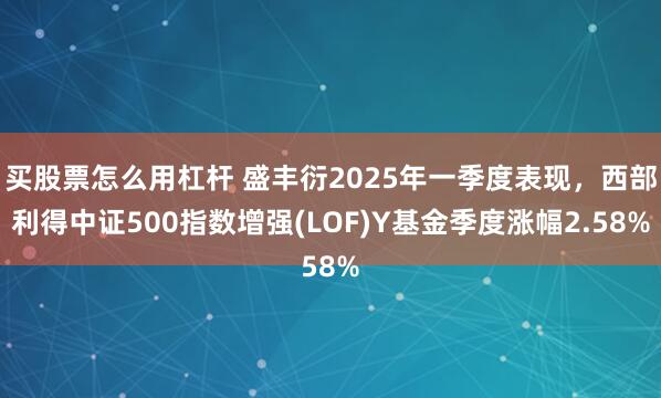 买股票怎么用杠杆 盛丰衍2025年一季度表现，西部利得中证500指数增强(LOF)Y基金季度涨幅2.58%