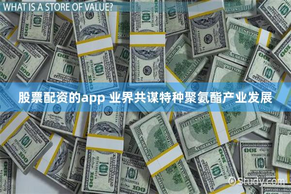 股票配资的app 业界共谋特种聚氨酯产业发展
