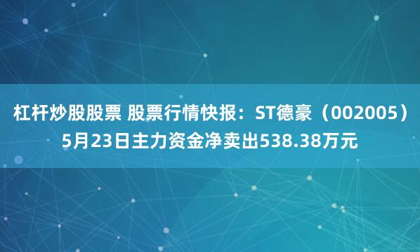 杠杆炒股股票 股票行情快报：ST德豪（002005）5月23日主力资金净卖出538.38万元