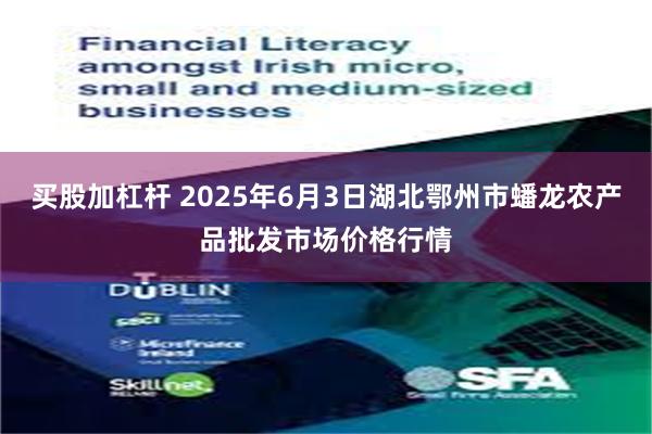 买股加杠杆 2025年6月3日湖北鄂州市蟠龙农产品批发市场价格行情