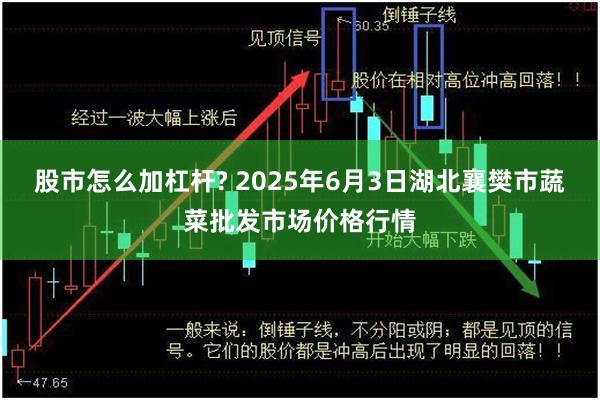 股市怎么加杠杆? 2025年6月3日湖北襄樊市蔬菜批发市场价格行情