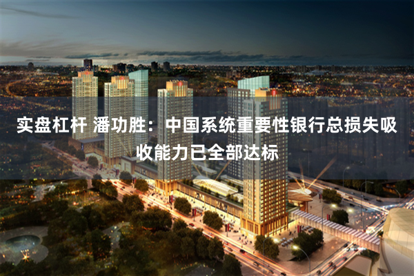 实盘杠杆 潘功胜：中国系统重要性银行总损失吸收能力已全部达标