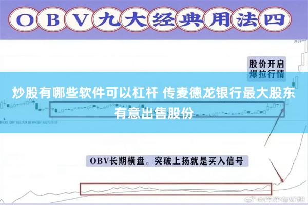 炒股有哪些软件可以杠杆 传麦德龙银行最大股东有意出售股份