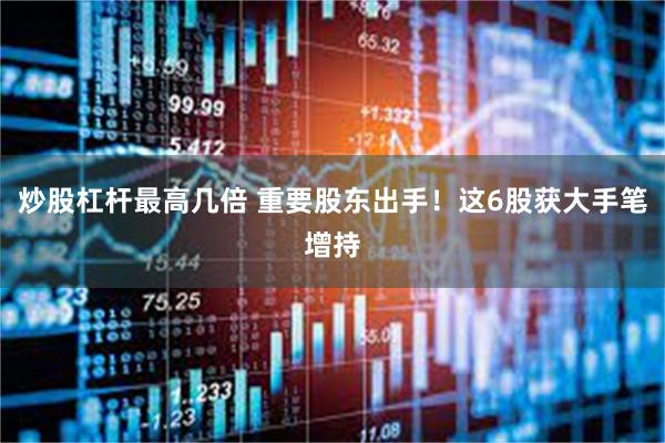 炒股杠杆最高几倍 重要股东出手！这6股获大手笔增持
