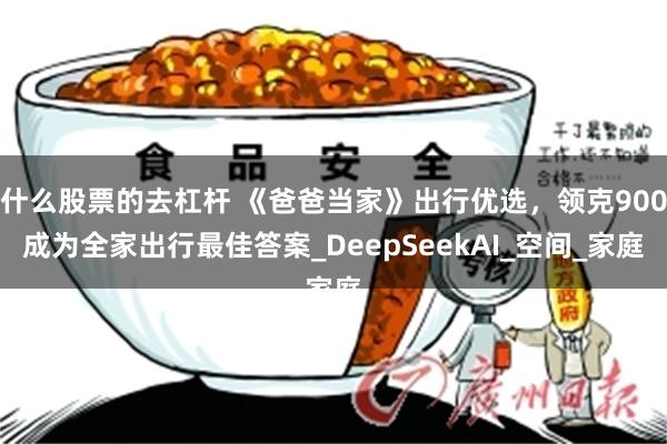 什么股票的去杠杆 《爸爸当家》出行优选，领克900成为全家出行最佳答案_DeepSeekAI_空间_家庭